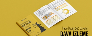 MLSA Dava İzleme Programı Raporu yayınlanıyor!
