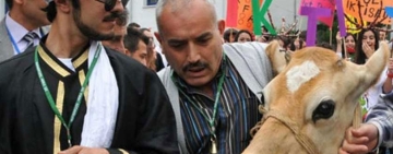 Acquittal in 'Nerd Festival' trial: 'Criticism should be tolerated'