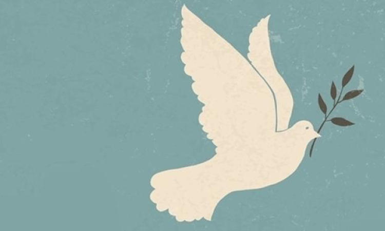 Bir bildirinin ardından: Barış Akademisyenlerinin on yılı